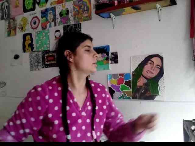 theplayful webcam