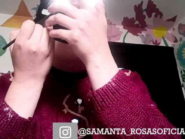 theplayful webcam