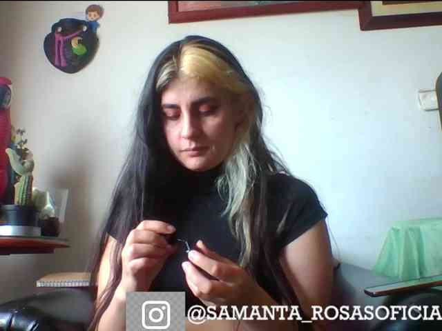 theplayful webcam