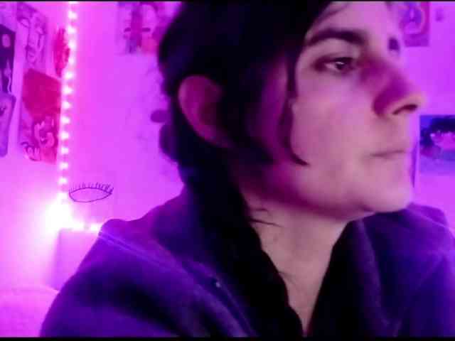 theplayful webcam