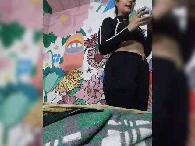 theplayful webcam