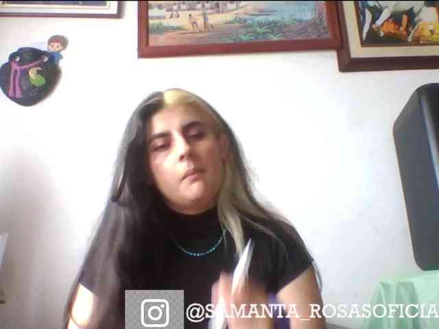 theplayful webcam