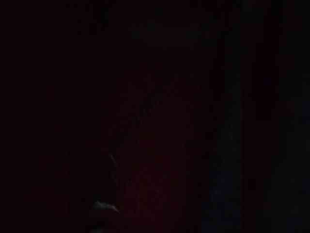 theplayful webcam