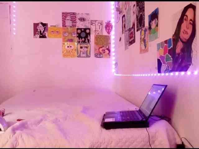 theplayful webcam