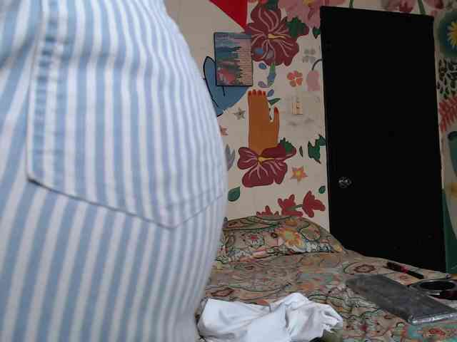 theplayful webcam