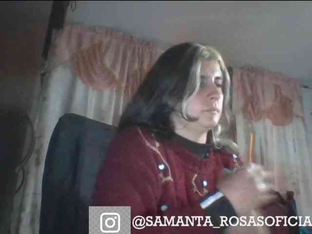 theplayful webcam