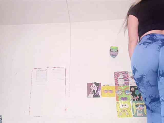 theplayful webcam