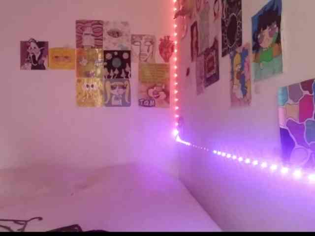 theplayful webcam