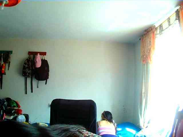 theplayful webcam