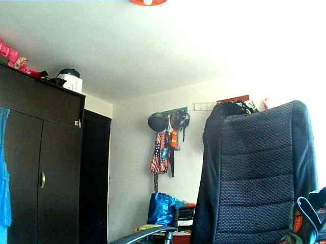 theplayful webcam