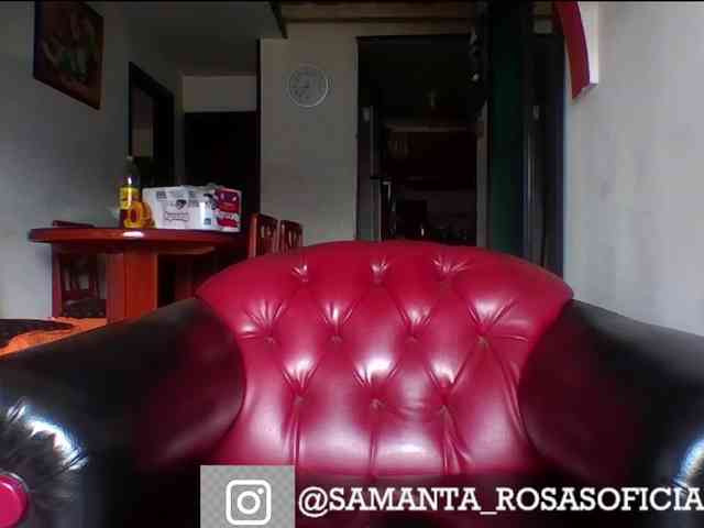 theplayful webcam
