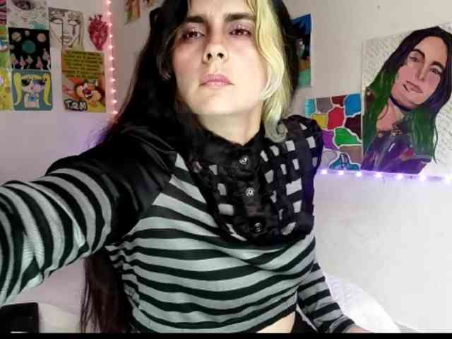 theplayful webcam