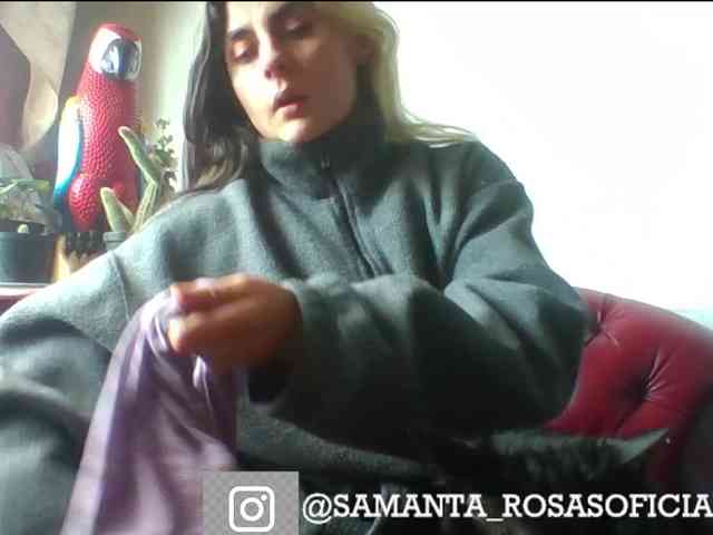 theplayful webcam