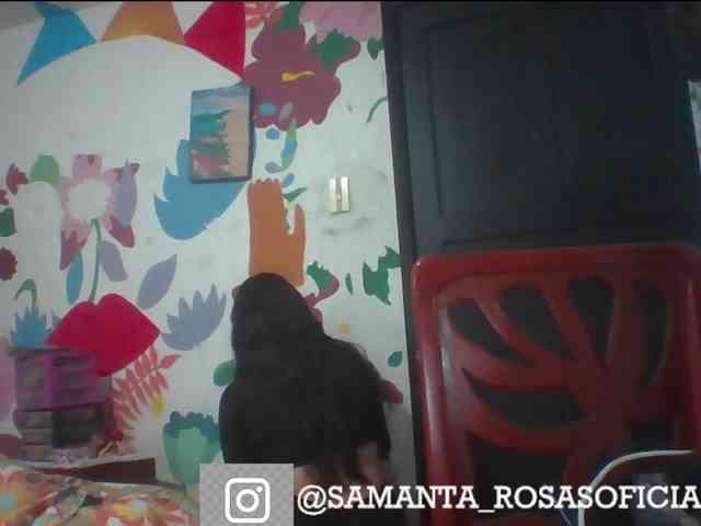 theplayful webcam