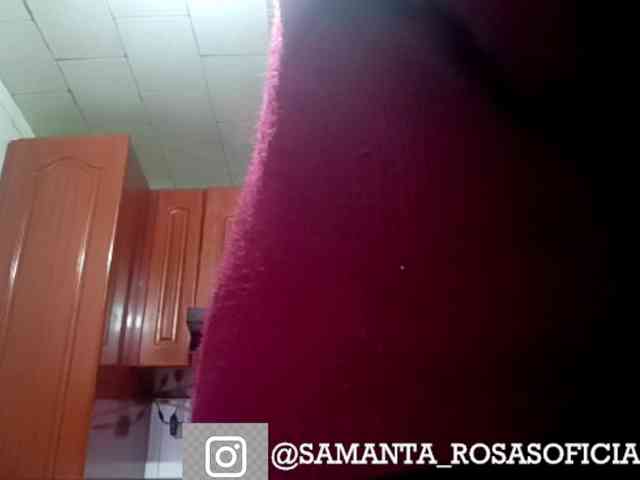 theplayful webcam