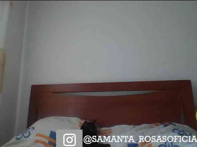 theplayful webcam