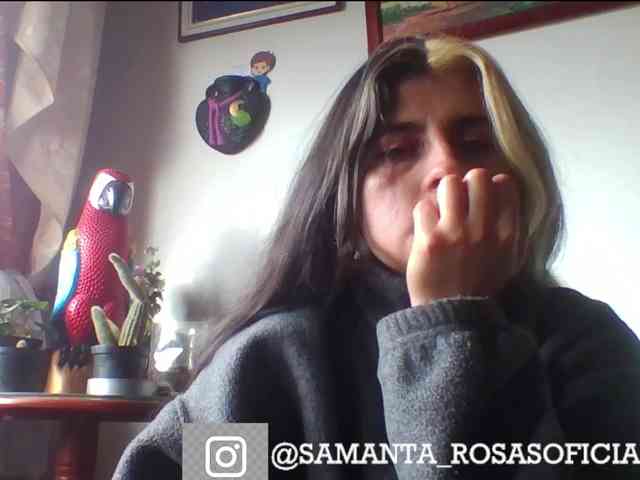 theplayful webcam