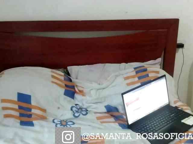 theplayful webcam