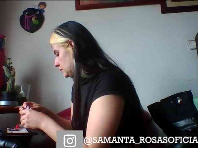 theplayful webcam