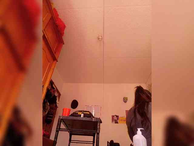 theplayful webcam