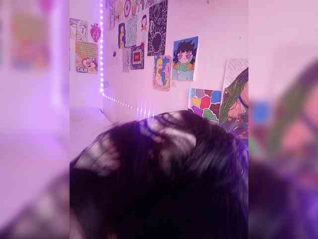 theplayful webcam