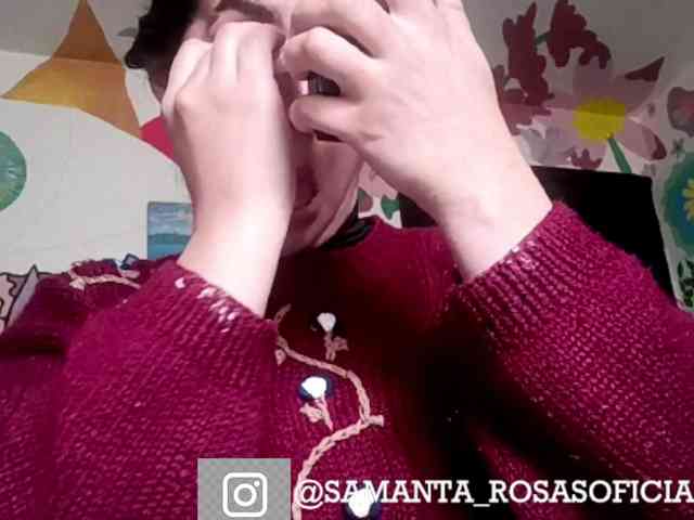 theplayful webcam