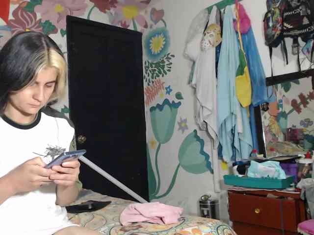theplayful webcam