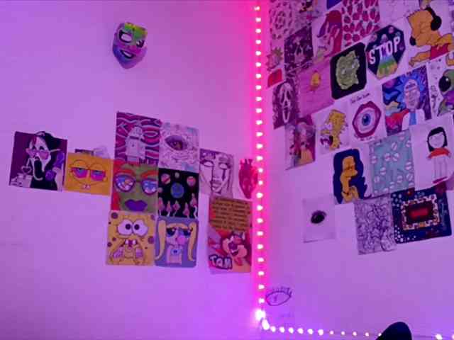 theplayful webcam