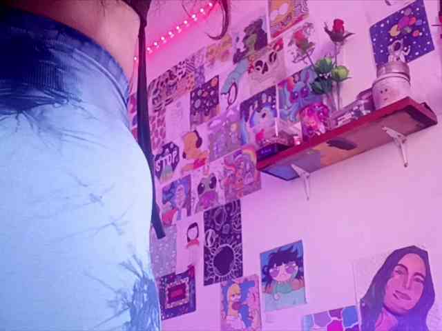 theplayful webcam