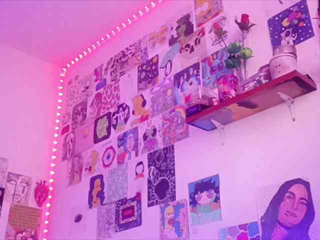theplayful webcam