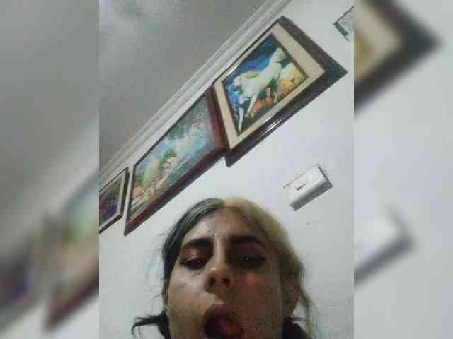 theplayful webcam
