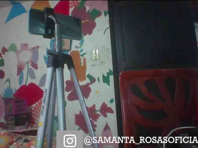 theplayful webcam