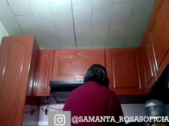 theplayful webcam