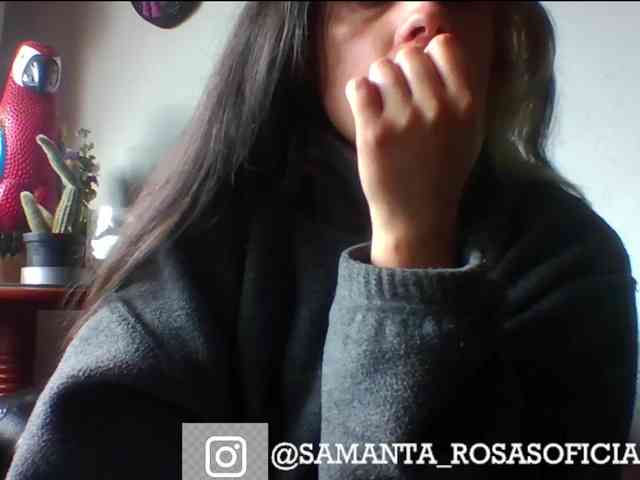 theplayful webcam