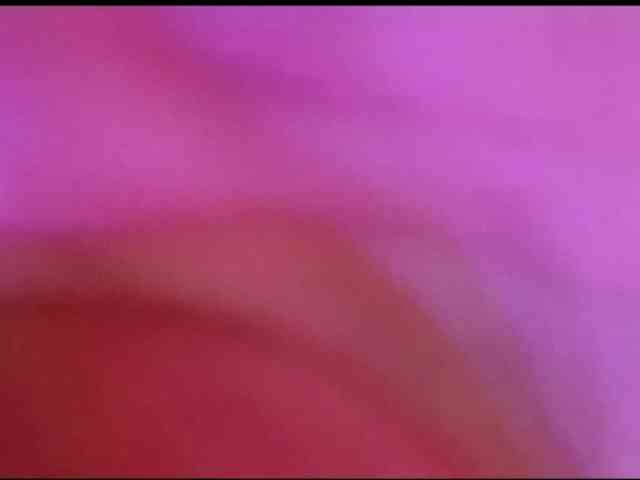 theplayful webcam