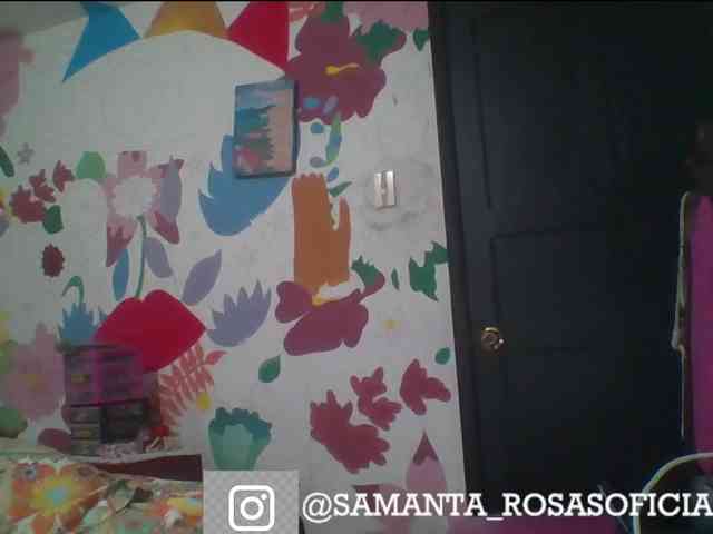 theplayful webcam