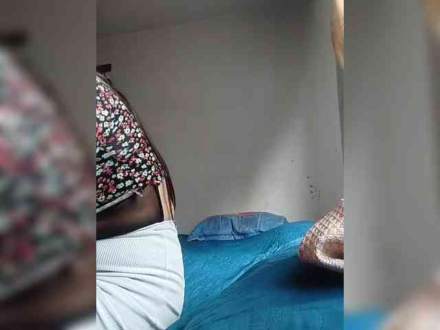 theplayful webcam