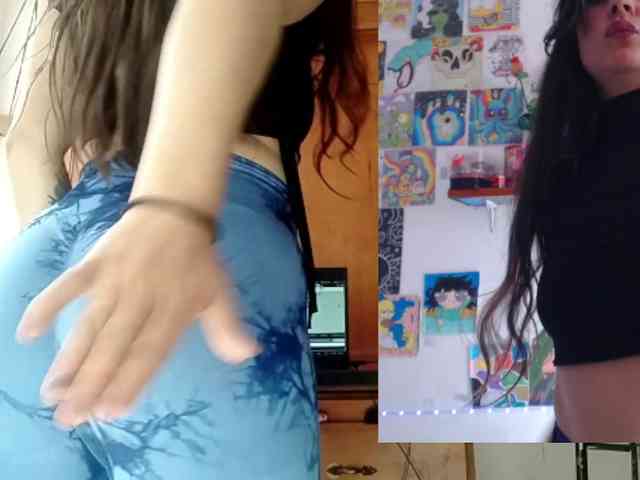 theplayful webcam