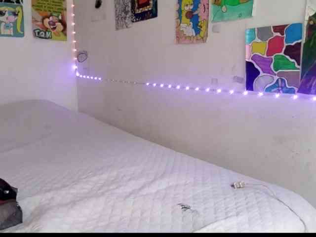 theplayful webcam