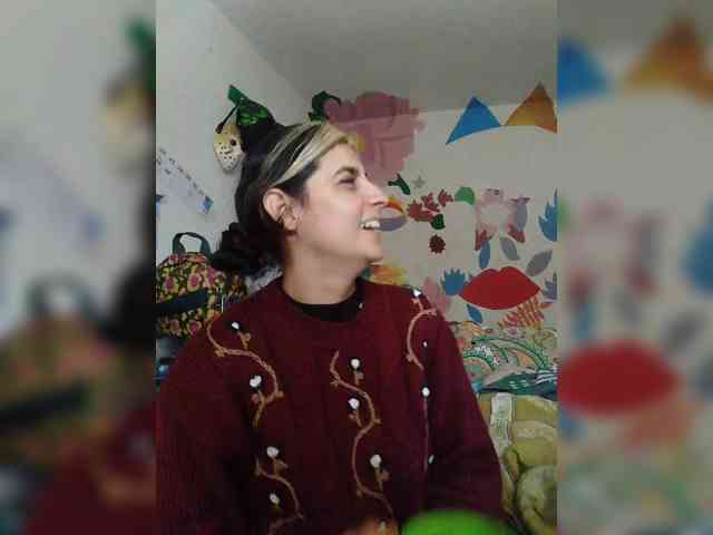 theplayful webcam