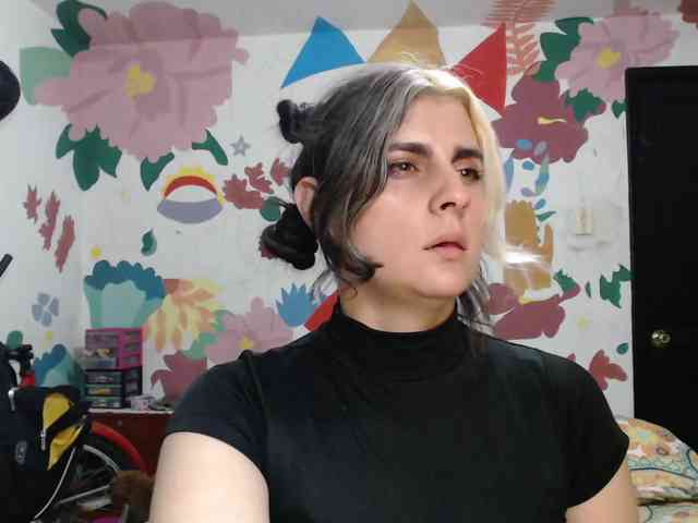 theplayful webcam