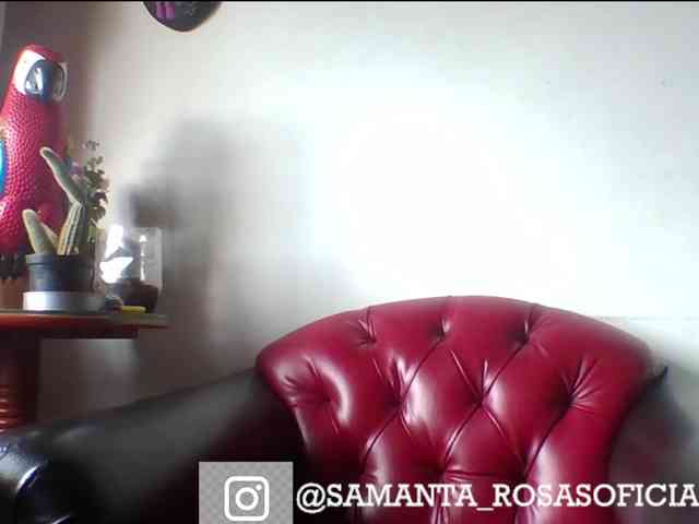 theplayful webcam
