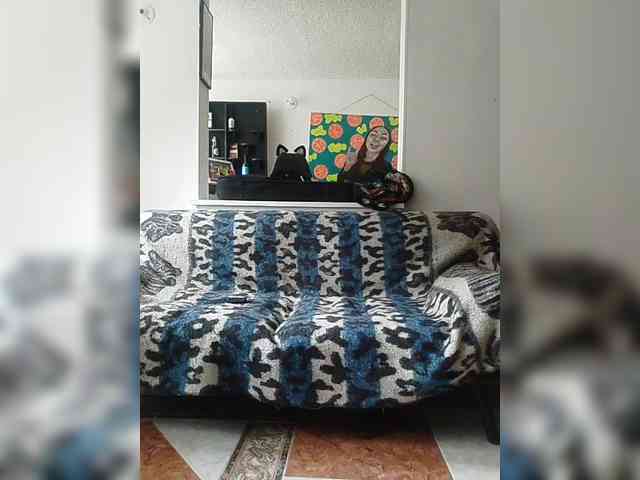 theplayful webcam