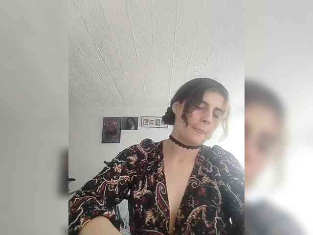 theplayful webcam