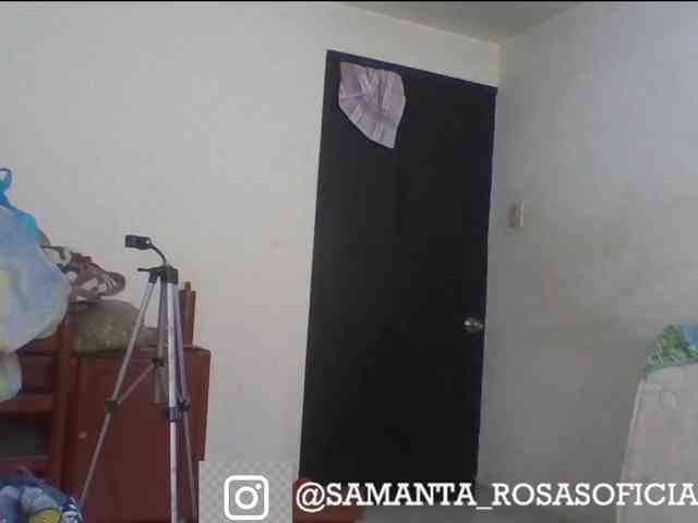theplayful webcam