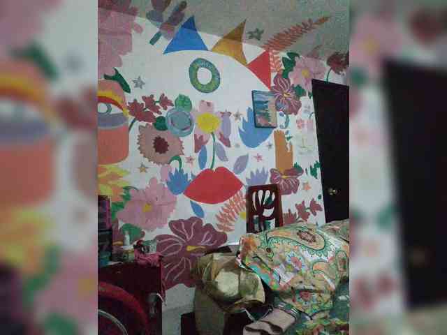 theplayful webcam