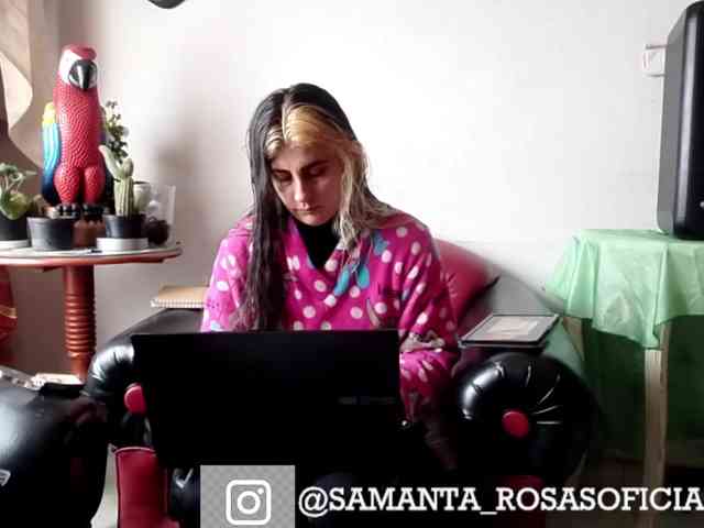theplayful webcam