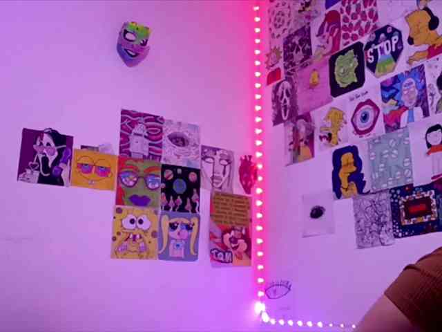 theplayful webcam