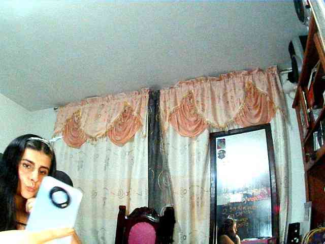 theplayful webcam