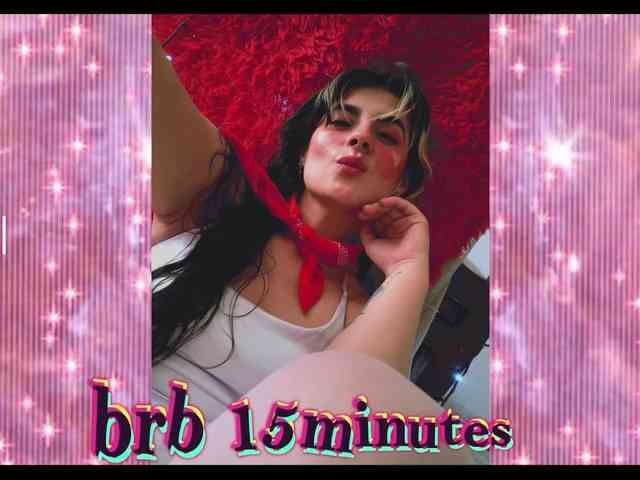 theplayful webcam